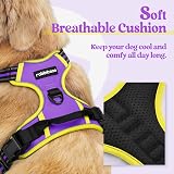 rabbitgoo Dog Harness Medium No Pull Reflective Adjustable Padding Purple Yellow view 3
