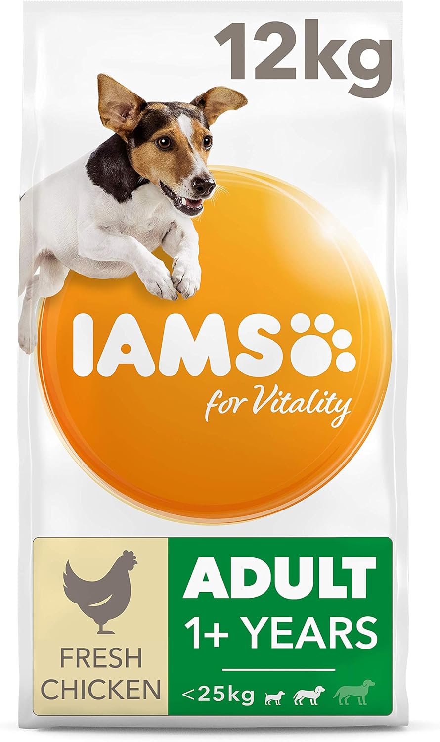 reptiles for sale online