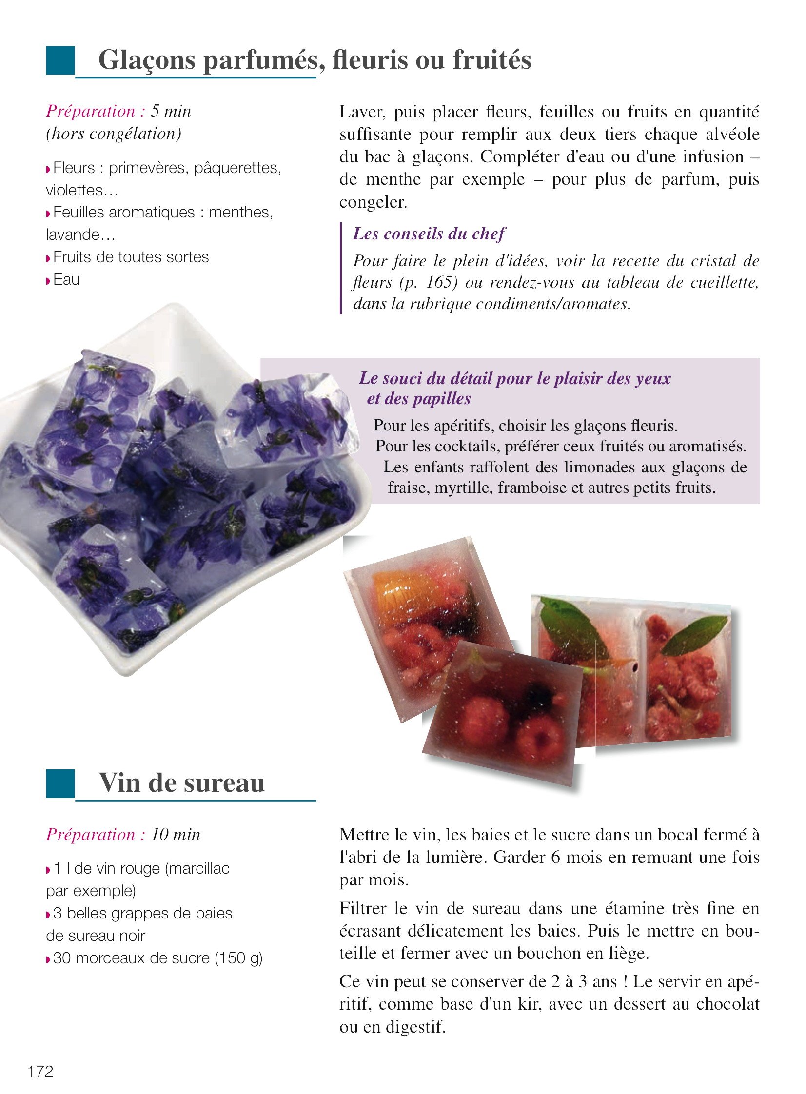 Plantes Comestibles Cueillette Recettes Des 4 Saisons