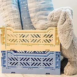 Collapsible Storage Box, Foldable Crate Organizer