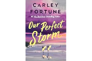 Our Perfect Storm