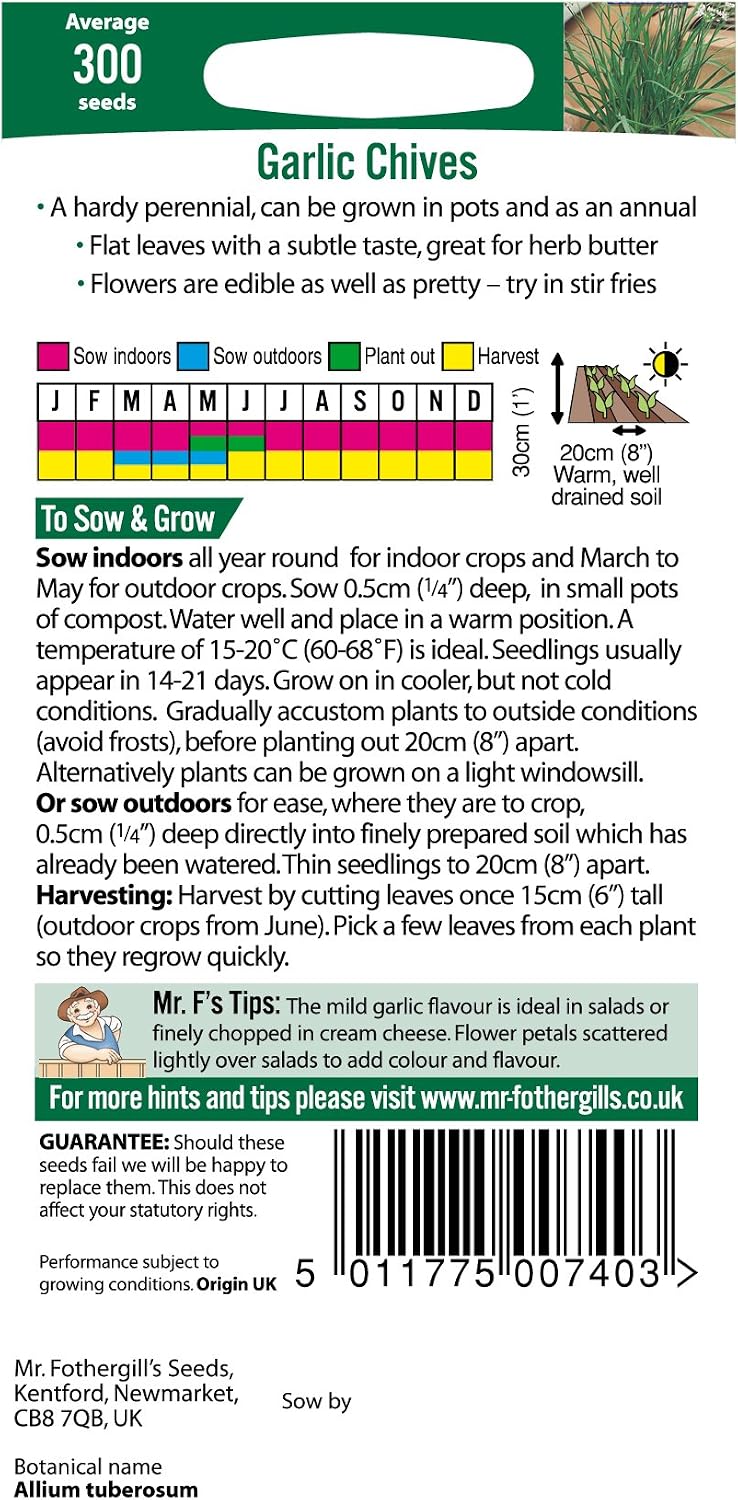 Mr Fothergill's 10464 Herb Seeds, Garlic Chives, Cream, Green - Image 4