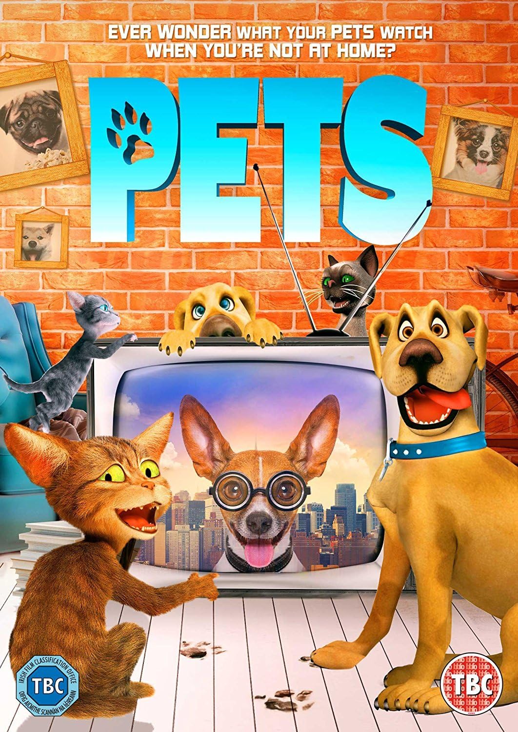 Pets [DVD] Amazon.co.uk DVD & Bluray