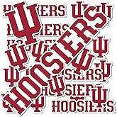 Desert Cactus Indiana University Sticker Hoosiers Bloomington Vinyl Decals Laptop Water Bottle Car Scrapbook Sheet T1 (Type 1-1)