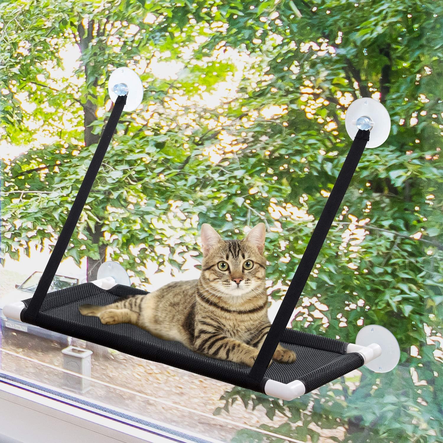 Tempcore Cat Window Perch, Cat Window Perch for Large Cats, Cat hammocks for Indoor Cats, 4 Suction Cups Carry 20 Pound, Breathable Mesh, 360 Degree Sunbathing and Landscape : Pet Supplies