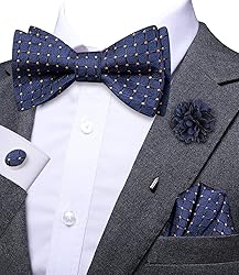 Hi-Tie Navy Gold Plaid Ties and Self-tied Bowtie