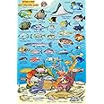 Bonaire Reef Creatures Waterproof Fish Card 4" x 6"