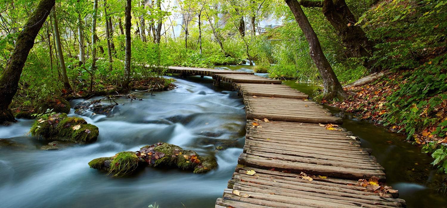 Amazon.com: Forest Ladder Diamond Painting Kit - pigpigboss 5D Diamond