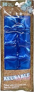 Regent Product Corp. Reusable 30 Cube Ice Mat 12