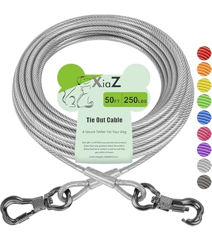 Doghook Canine Hitch- Secure Dog Leash Parking Mounted Indoor