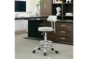 FIRAVOE Drafting Stool (Height Adjustable Office Chair with Footrest 19.5"-26.6")(Drum Stool with Back) Space Saving Tattoo Chair (Gray)