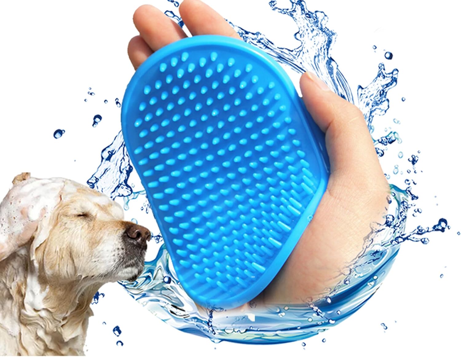 types of pet lizards for beginners