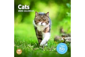 BRIGHT DAY CALENDARS 2025 Cats Monthly Wall Calendar by Bright Day, Includes Over 300 Stickers, 12 x 12 Inch