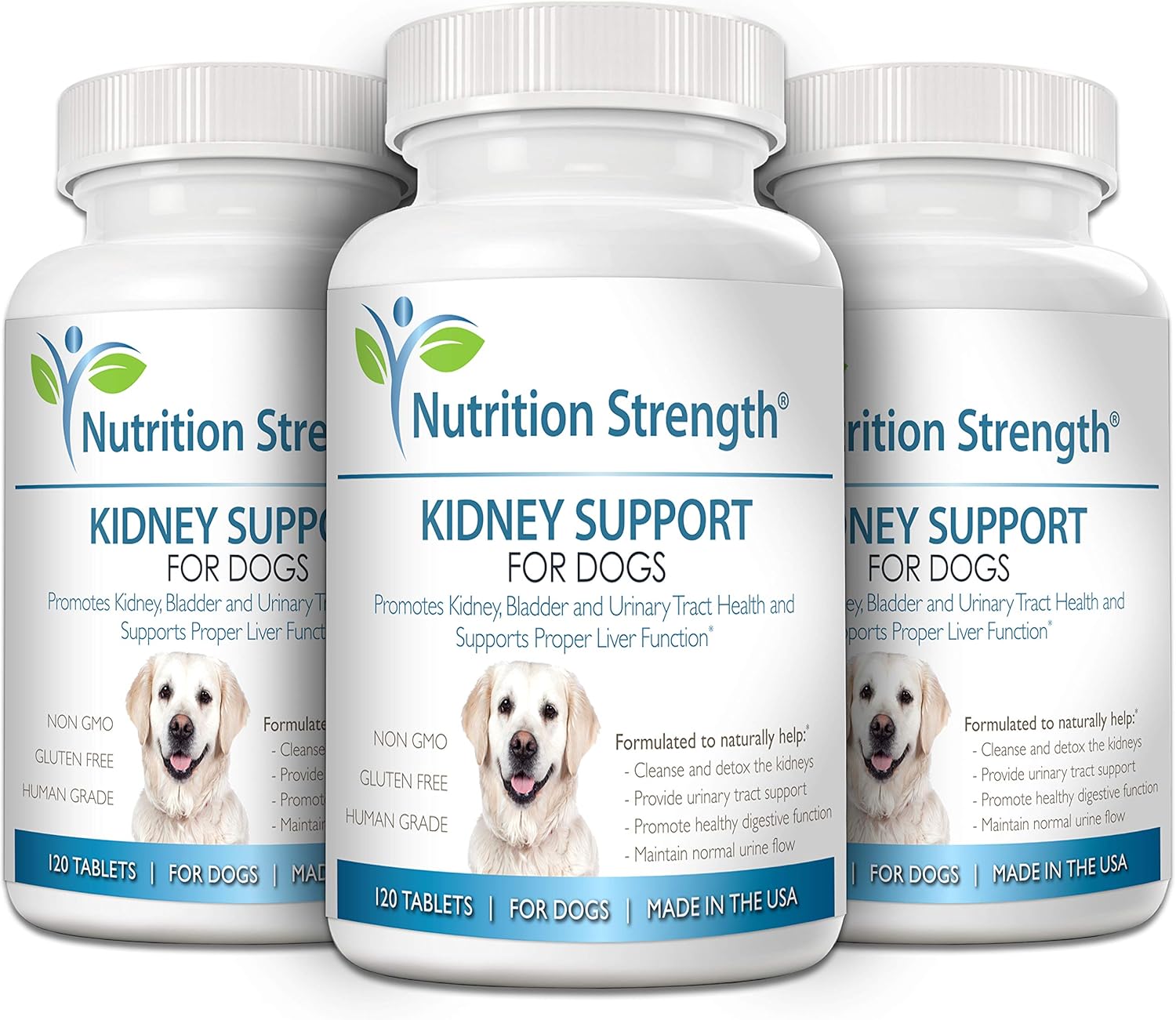 multivitamin for dogs with kidney disease