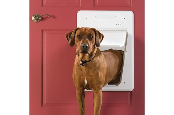 electromagnetic cat door
