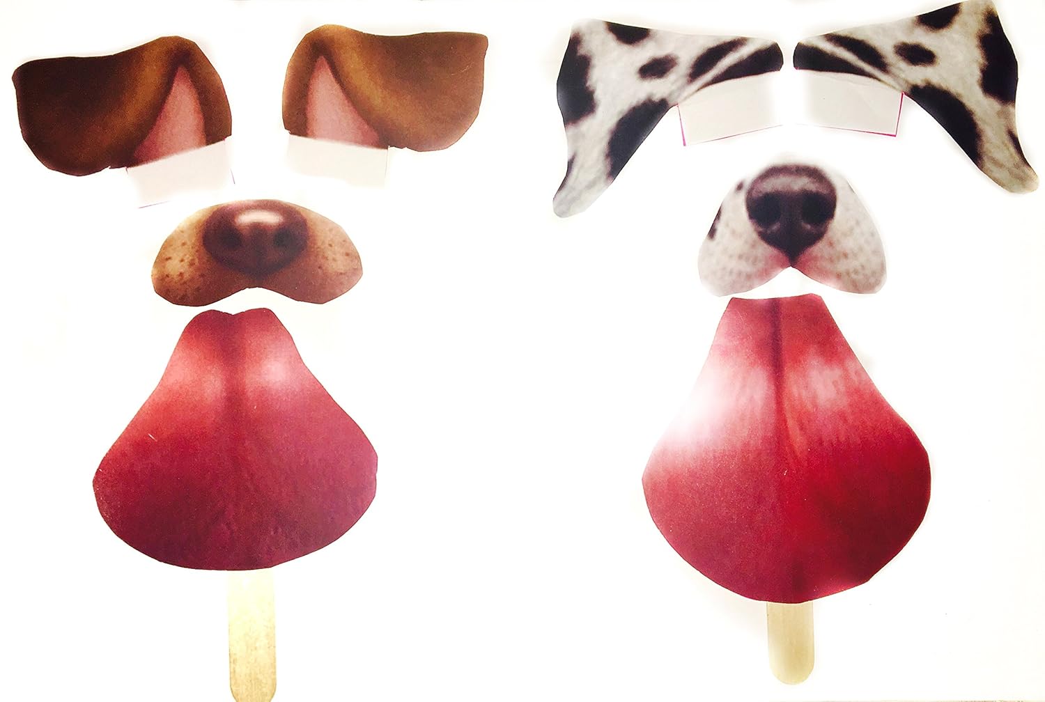 Dog Photo Filter PetsWall