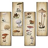 4 Pack Mushroom Wall Decor Vintage Mushroom Wall Art Sign Rustic Wooden Mushroom Kitchen Decor Mushroom Poster Hanging Fungus