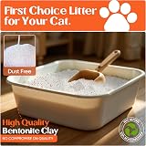 BioKitty Clumping Cat Litter 10L Bentonite Natural Odour Control view 2