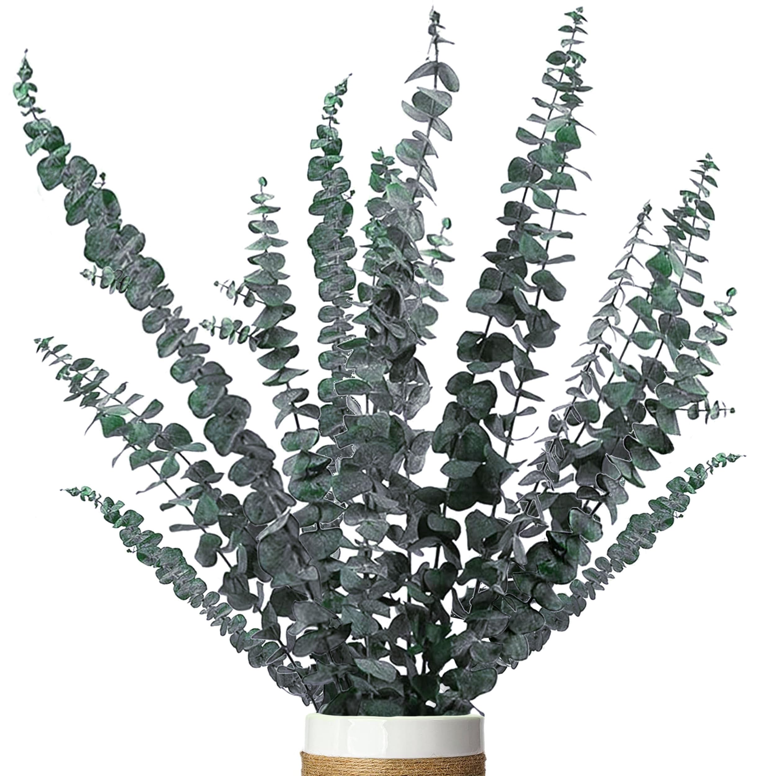 ZJTAPE Dried Eucalyptus - 18 Pcs Natural Dried Flowers, Real Eucalyptus Everlasting Dried Flowers, Perfect Wedding Decoration、Flower Arrangements Home Decor