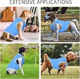 Runmeihe Dog Cooling Coat Vest Harness for Dogs Medium Large Small S view 6