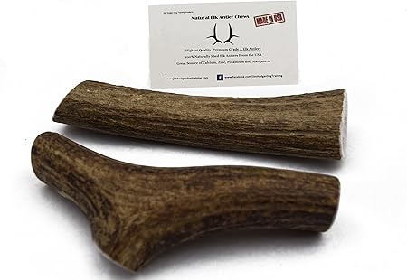 puppy antler safe
