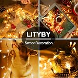 LITYBY Fairy Lights 50M 500LED Mains Powered 8 Modes Remote IP65 Warm White view 3