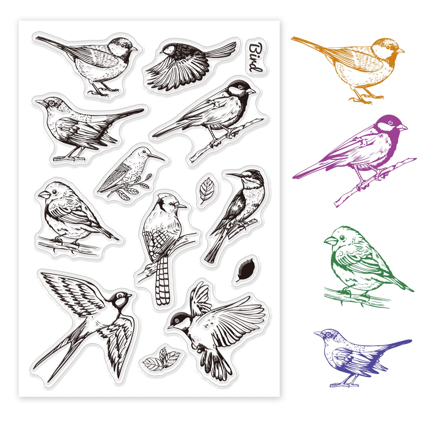 ORIGACH Realistic Birds Clear Stamps TPR Transparent Stamps with Acrylic Stamping Block for Card Making Decoration and DIY Scrapbooking