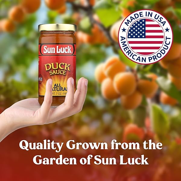 SUN LUCK ALL-NATURAL DUCK SAUCE 7 OZ BOTTLE – SWEET & TANGY CHINESE-STYLE DIPPING SAUCE FOR EGG ROLLS, WONTONS & APPETIZERS; GREAT GLAZE FOR CHICKEN & PORK.