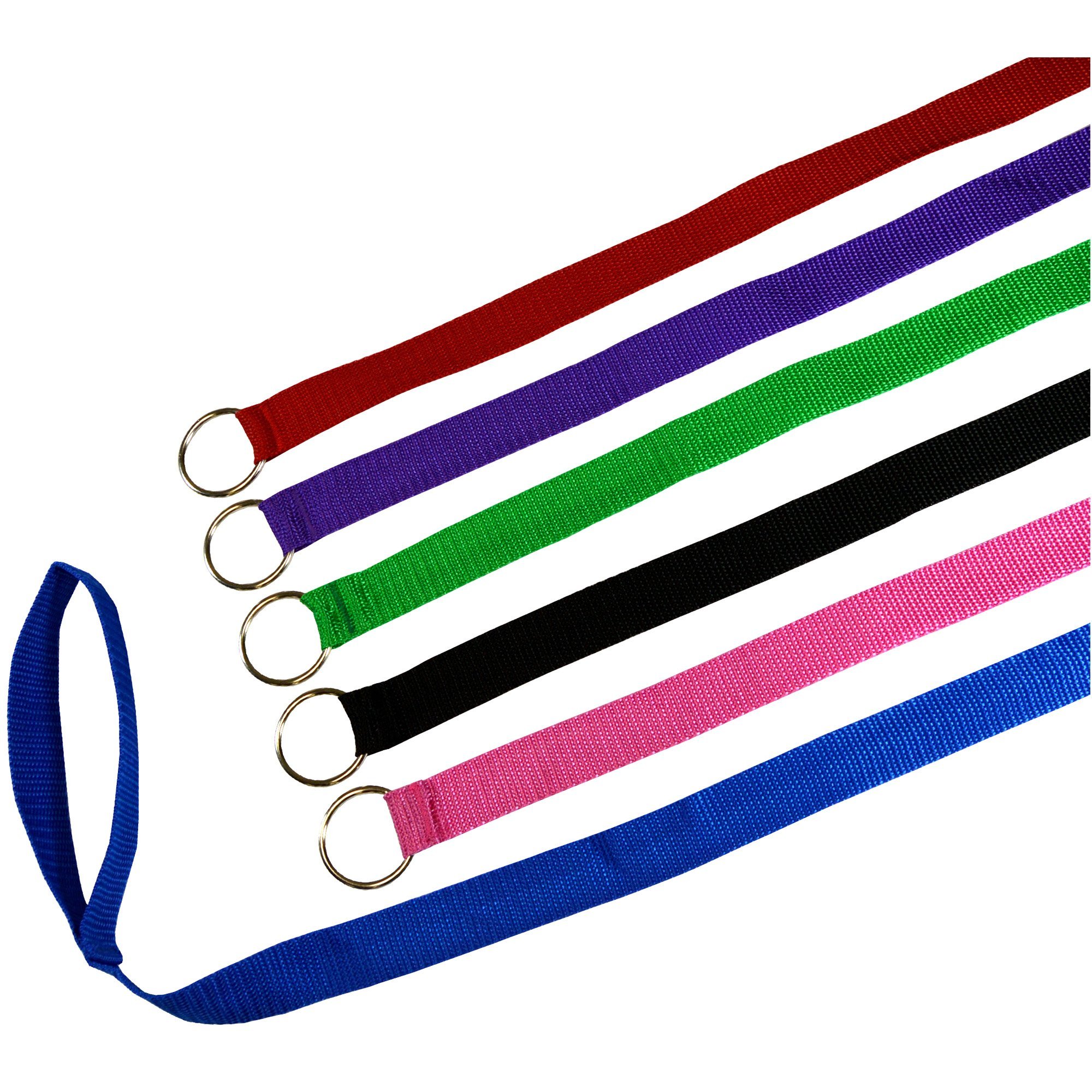 Downtown Pet Supply 6 Foot Slip Lead, Slip Leads, Kennel Leads Bulk Dog Leashes with O Ring for Dog Pet Animal Control Grooming, Shelter, Rescues, Vet, Veterinarian, (6 Pack, Colors: Various)