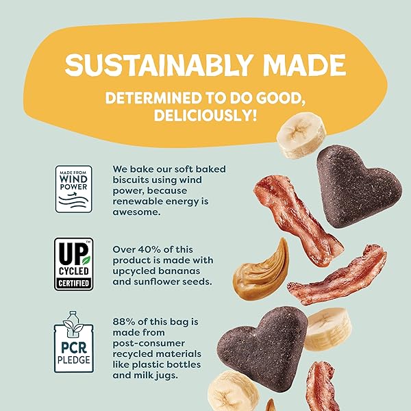 SHAMELESS PETS SOFT-BAKED DOG TREATS, BANANAS FOR BACON – NATURAL & HEALTHY DOG CHEWS FOR SKIN & COAT SUPPORT WITH OMEGA 3 & 6 – BISCUITS BAKED & MADE IN USA, FREE FROM GRAIN, CORN & SOY – 1-PACK