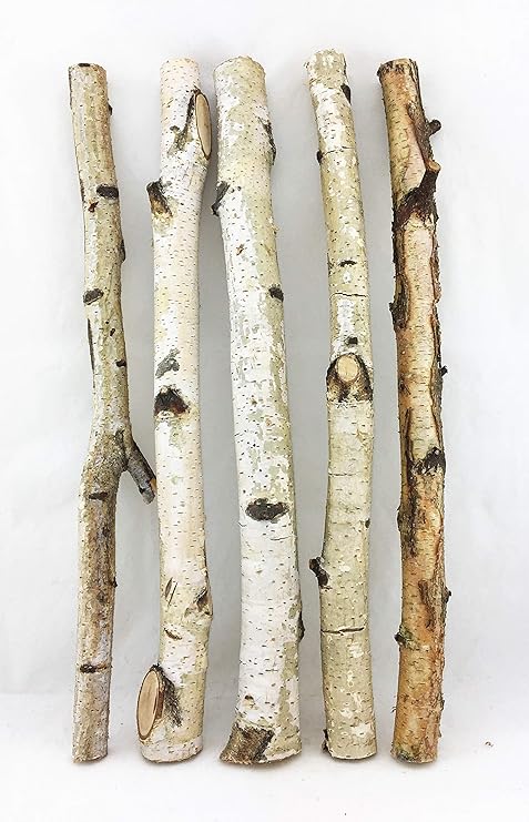 Ohn Birch Branches Birch Branch Birch Branch Birch Wood Decorative Branches Decorative Post Birch Wood Birch Ohn Birch Branches Birch Branch Birch Branch Birch Wood Decorative Branches Decorative Post Birch Wood Birch