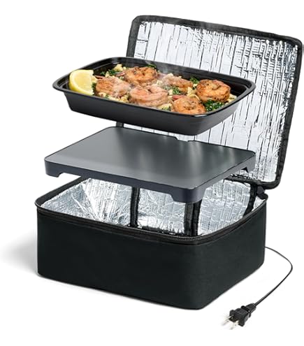 cigarette lighter food warmer Amazon.com