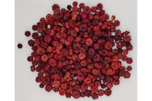 SEEPER On The Bright Side Mini Red Putka Pods (Pumpkin Pods) Good for Christmas Potpourri and Bowl Fillers 4 Heaping Cups, OTBSRPP35