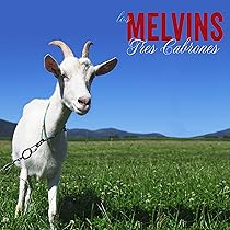 激レア廃盤未開封 2枚組10インチ Melvins Mangled Demos The