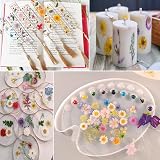 YoothBro 191PCS Real Nature Dried Pressed Flowers for Resin Jewelry Nail Art view 5