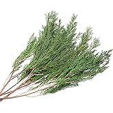 Tavkite 3.5OZ Preserved Real Pine Leaves Branches -17'' Natural Christmas Greenery Plants Twigs Stems Pine Needles Evergreen Picks for Garland Wreath Xmas Wedding Home Party Indoor Outdoor Decor