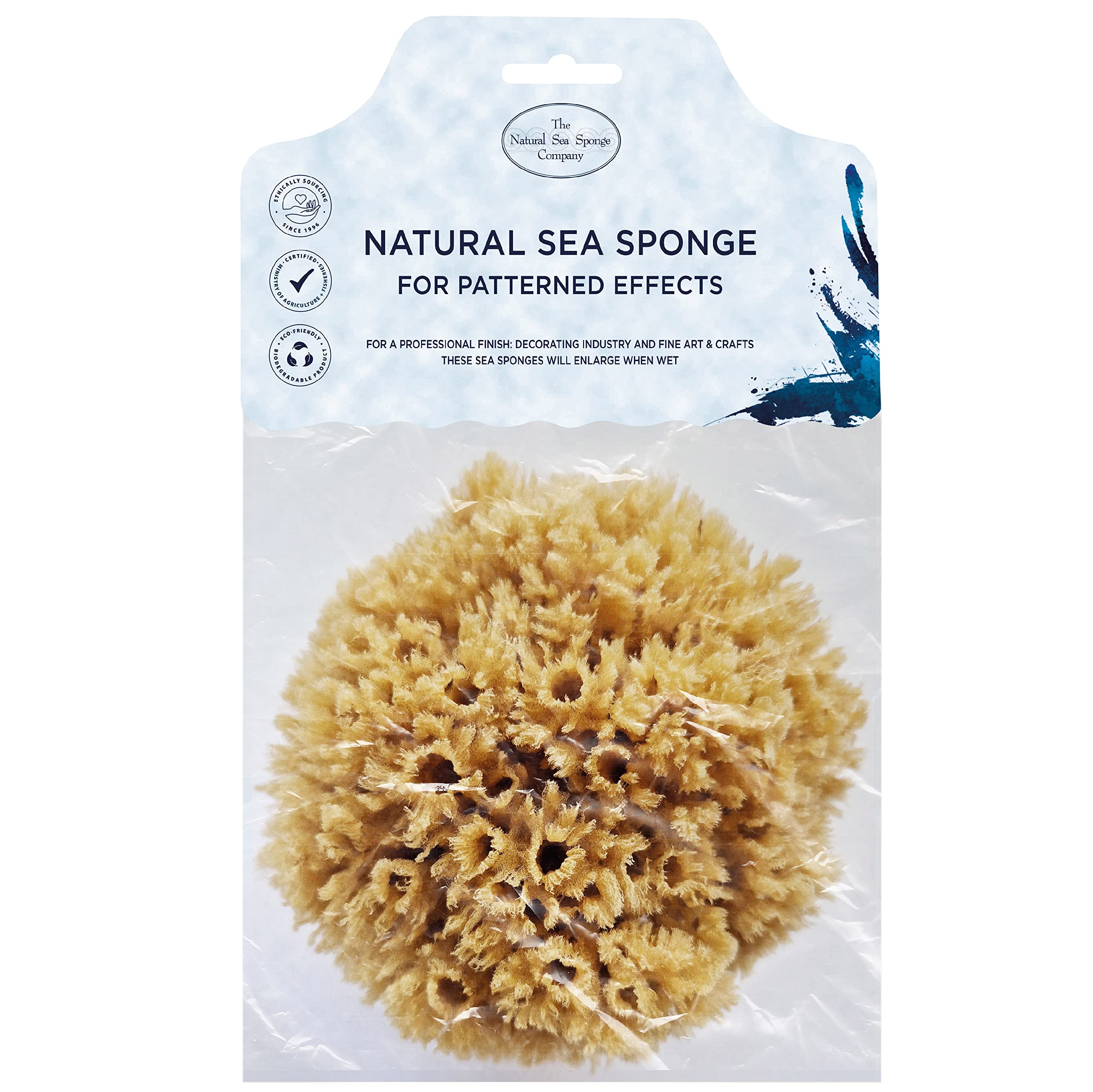Hydrea London Artists Painting Natural Silk Sponges Kit – FineTexture – Sea Sponge Set for Fine Art, Craft, Ceramics, Pottery, Decorating, Paper Stretching (1 Pack - Grass Sea Sponge)