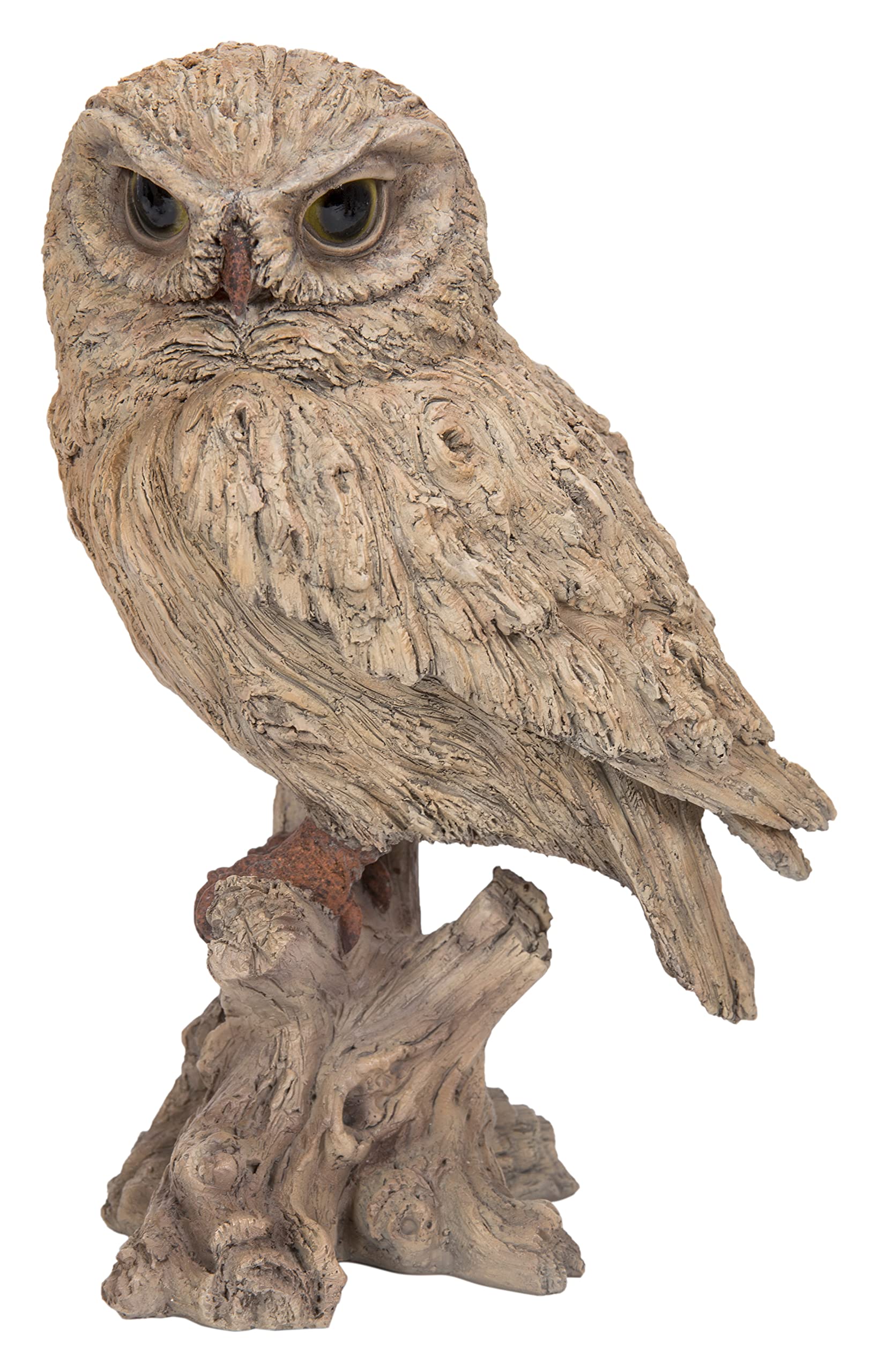 Vivid Arts Wood Effect Little Owl | Resin Home or Garden Decoration | WL-LTWL-D