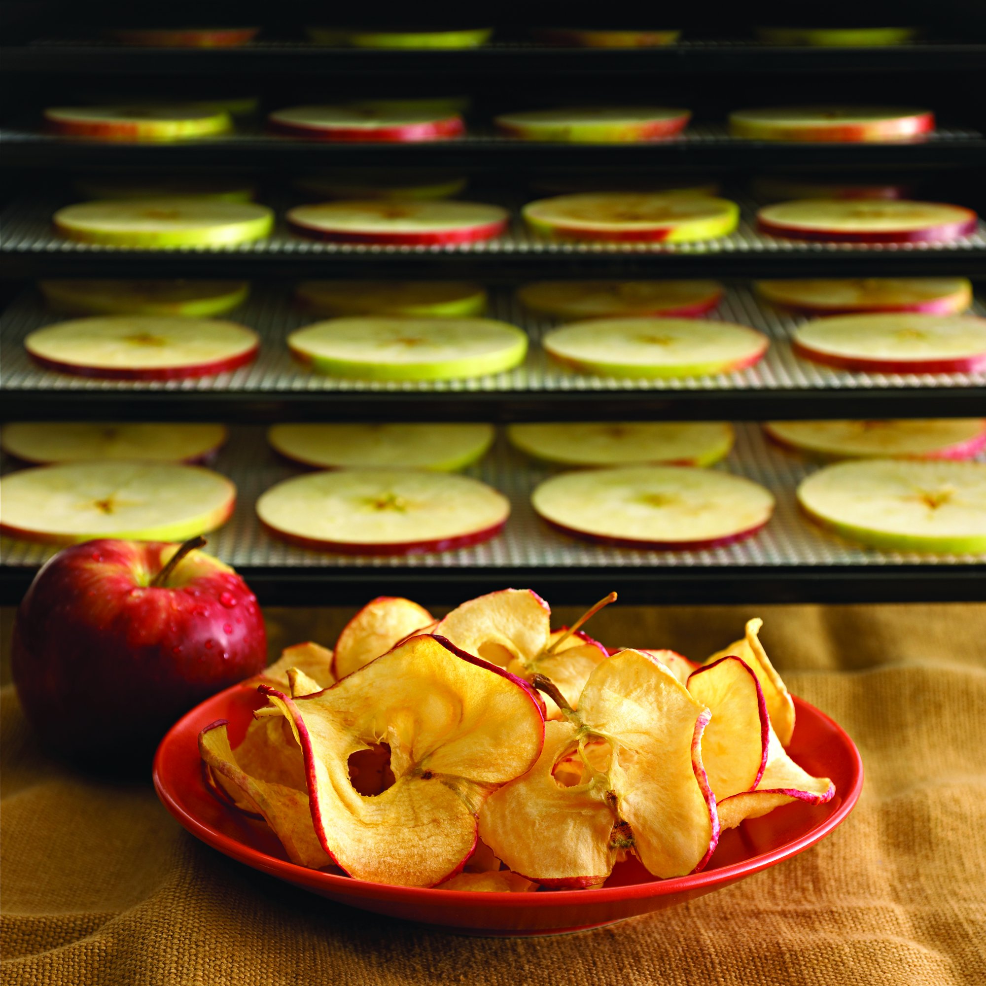 Excalibur 2900ECB 9-Tray Food Dehydrator with Adjustable Thermostat for Temperature Control Patented Technology for Faster and Efficient Drying 15 Square Feet Drying Space Made in USA, 9-Tray, Black