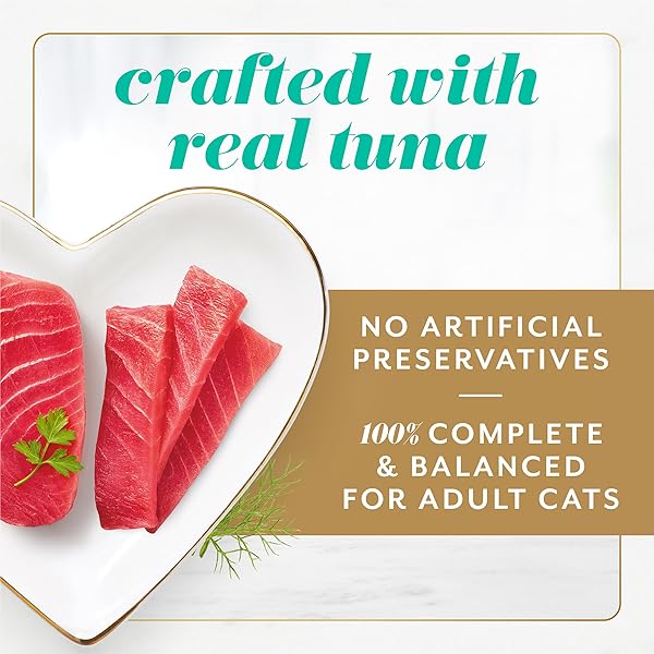 FANCY FEAST GEMS PATE CAT FOOD MOUSSE WITH TUNA AND A HALO OF SAVORY GRAVY CAT FOOD – (PACK OF 8) 4 OZ. BOXES