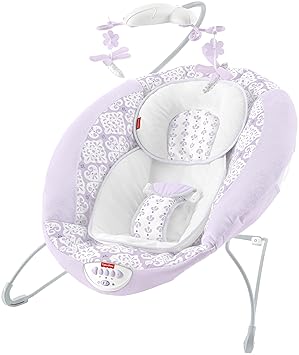 fisher price deluxe bouncer fairytale