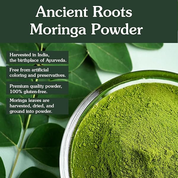 ANCIENT ROOTS MORINGA POWDER 100% PURE & NATURAL, NON-GMO, GLUTEN-FREE FINELY GROUND MORINGA LEAF FOR SMOOTHIES, TEAS, AND RECIPES 10.5 OZ RESEALABLE BAG