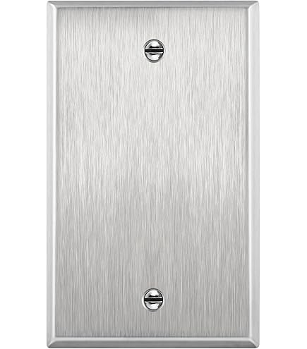 Eaton 93152-BOX 2-Gang Blank Stainless Steel Wallplate - Amazon.com