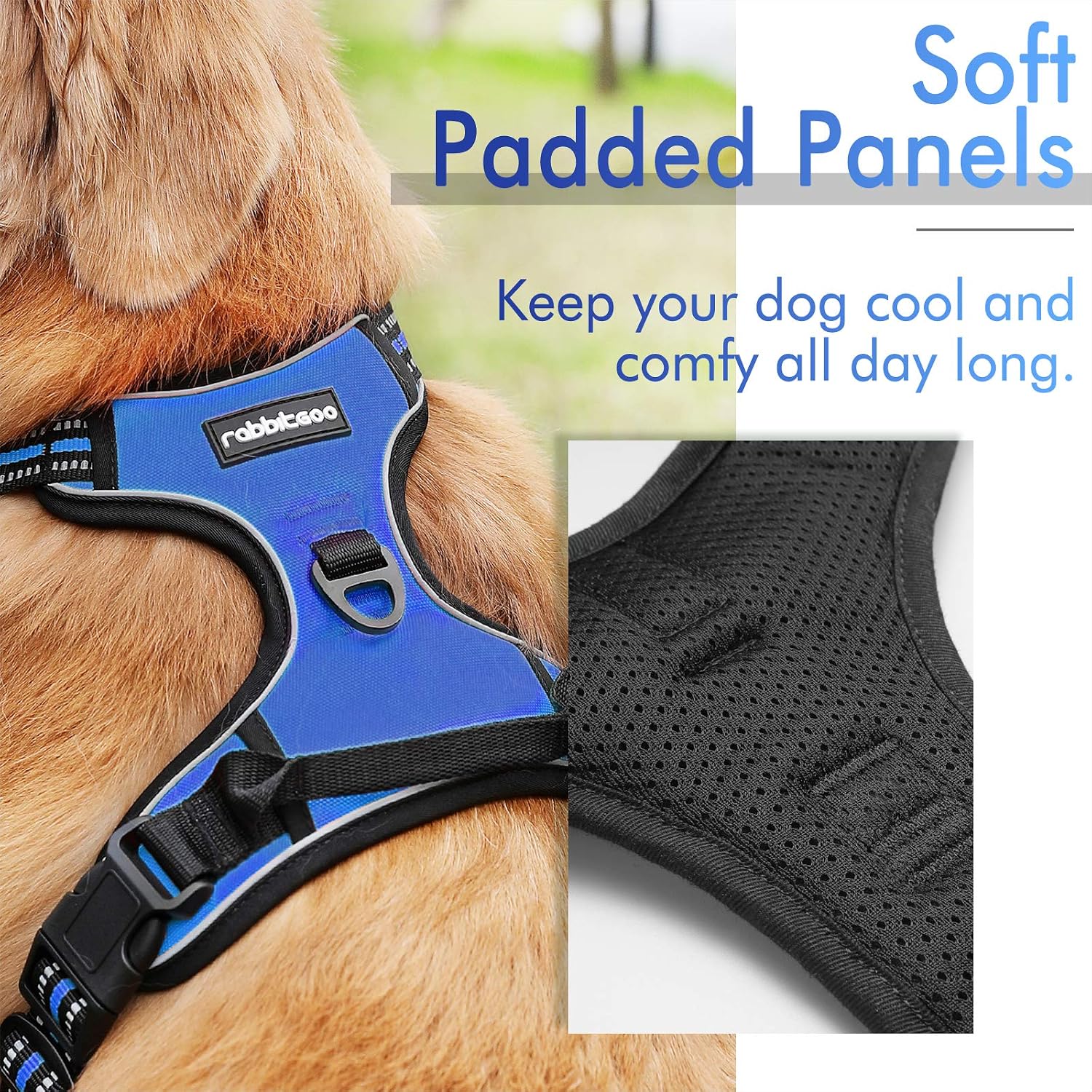 rabbitgoo Dog Harness Small Dog No Pull Pet Harness with 2 Leash Clips, Adjustable Soft Padded Pet Vest - Image 4