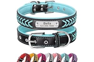 Didog Personalized Leather Dog Collar, Braided Custom Leather Dog Collars with Engraved Nameplate for Small Medium Large Dogs