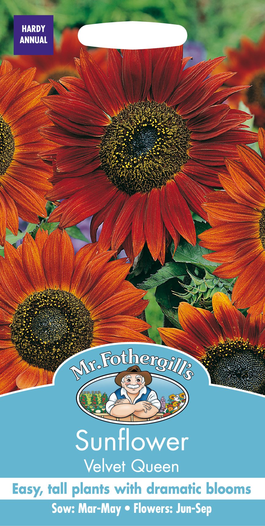 Mr Fothergill's SUNFLOWER Velvet Queen Seeds