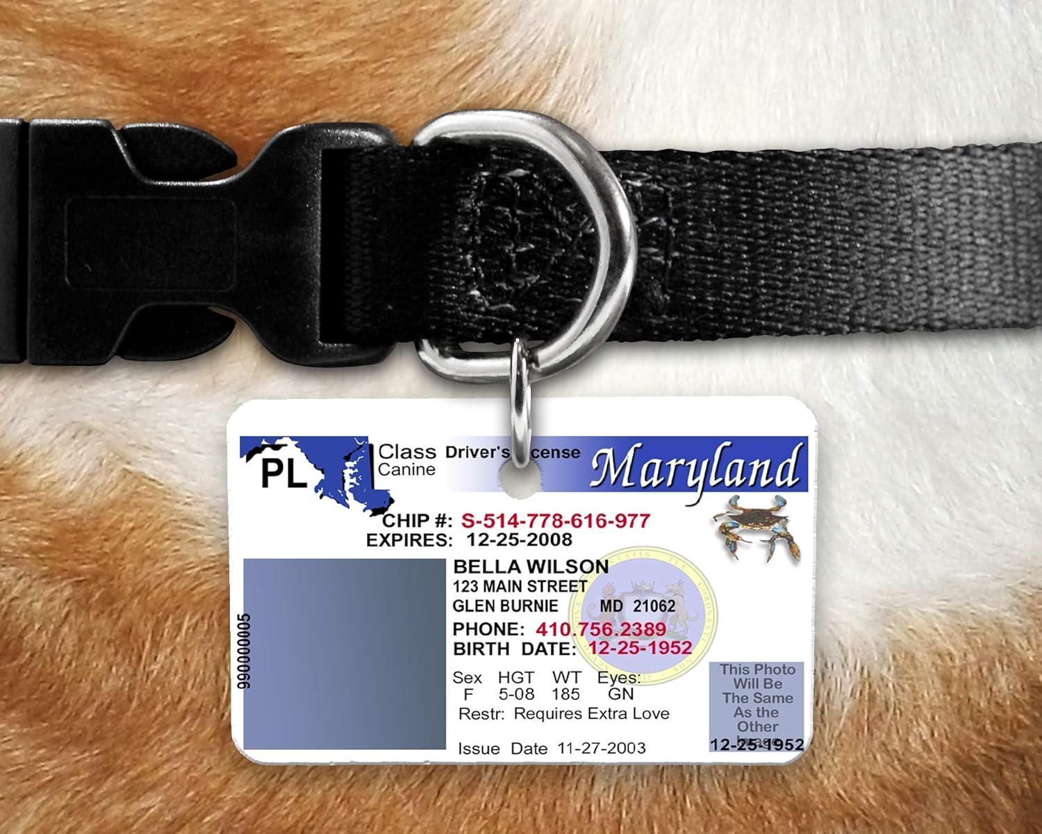pet id license