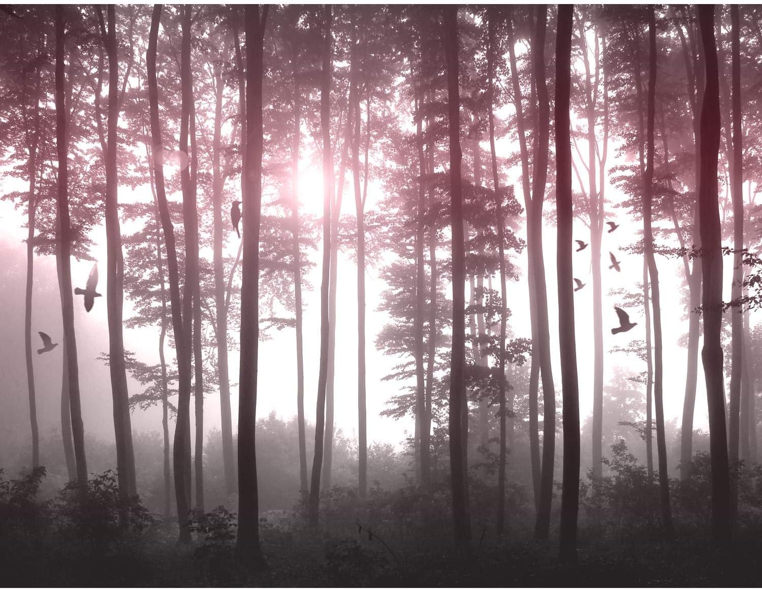 Photo Wallpaper Forest 396 x 280 cm Fleece Wallpaper Living room Bedroom Office Corridor Decoration Murals modern Wall Decoration - 100% MADE IN GERMANY - 9326012c