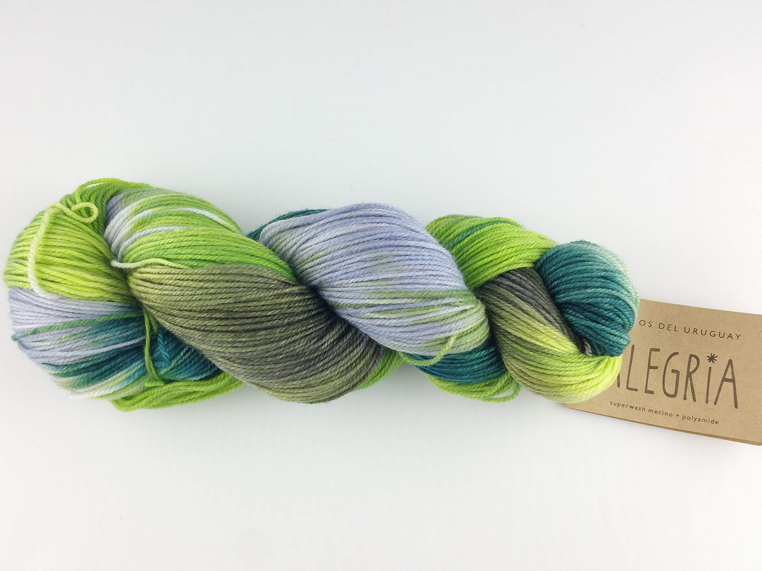 Manos Del Uruguay Alegria A8106 Botanico, 100g, Hand Dyed Sock Yarn