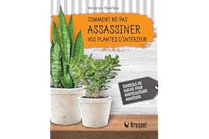 Comment ne pas assassiner vos plantes d'intérieur N.E.
